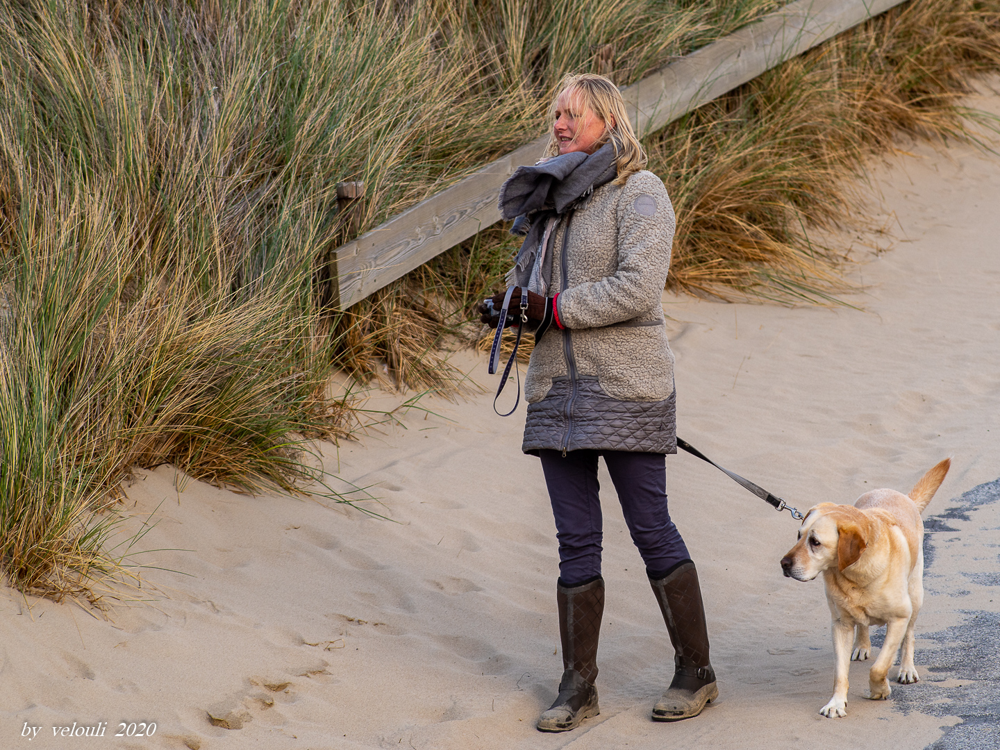 Frau mit Hund 32 (am Strand in NL)