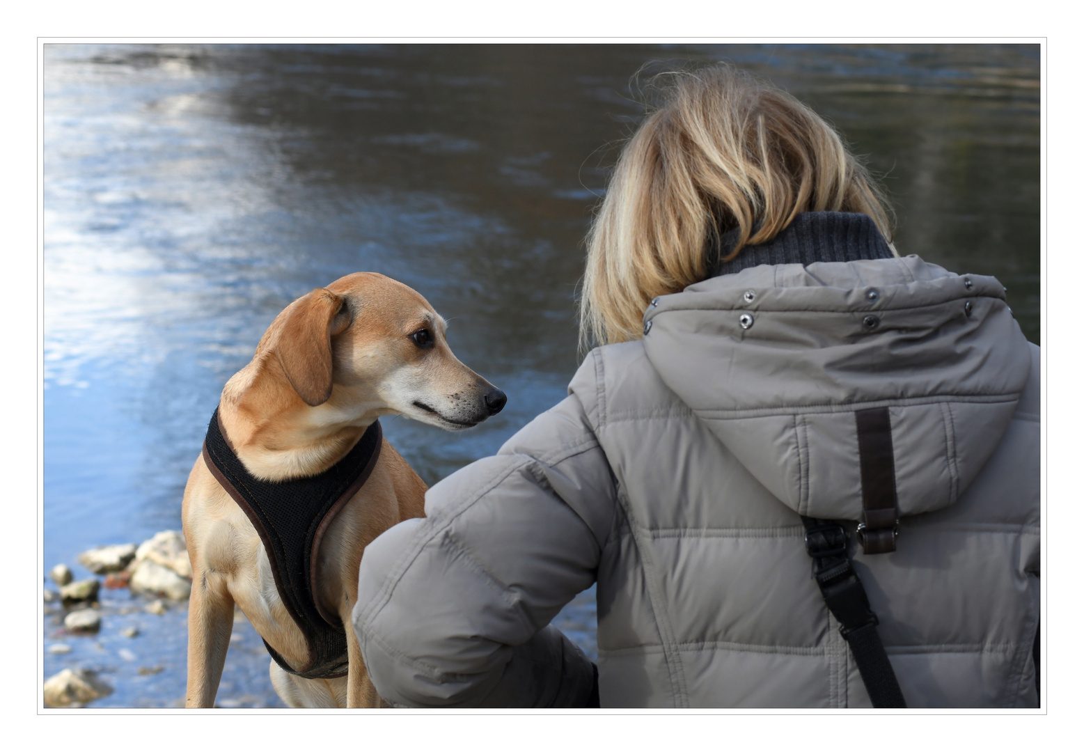 Frau mit Hund.