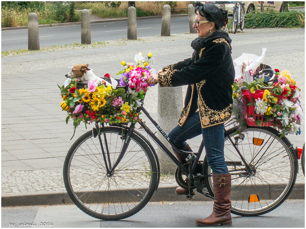 Frau mit Hund 5 (und Velo)