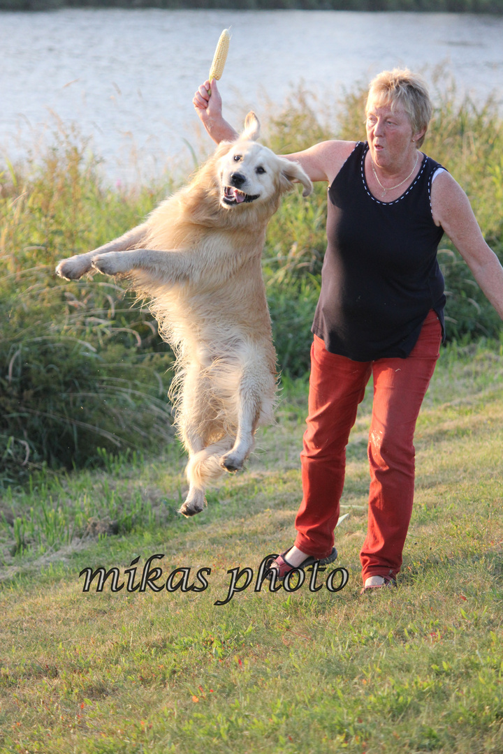 frau mit hund