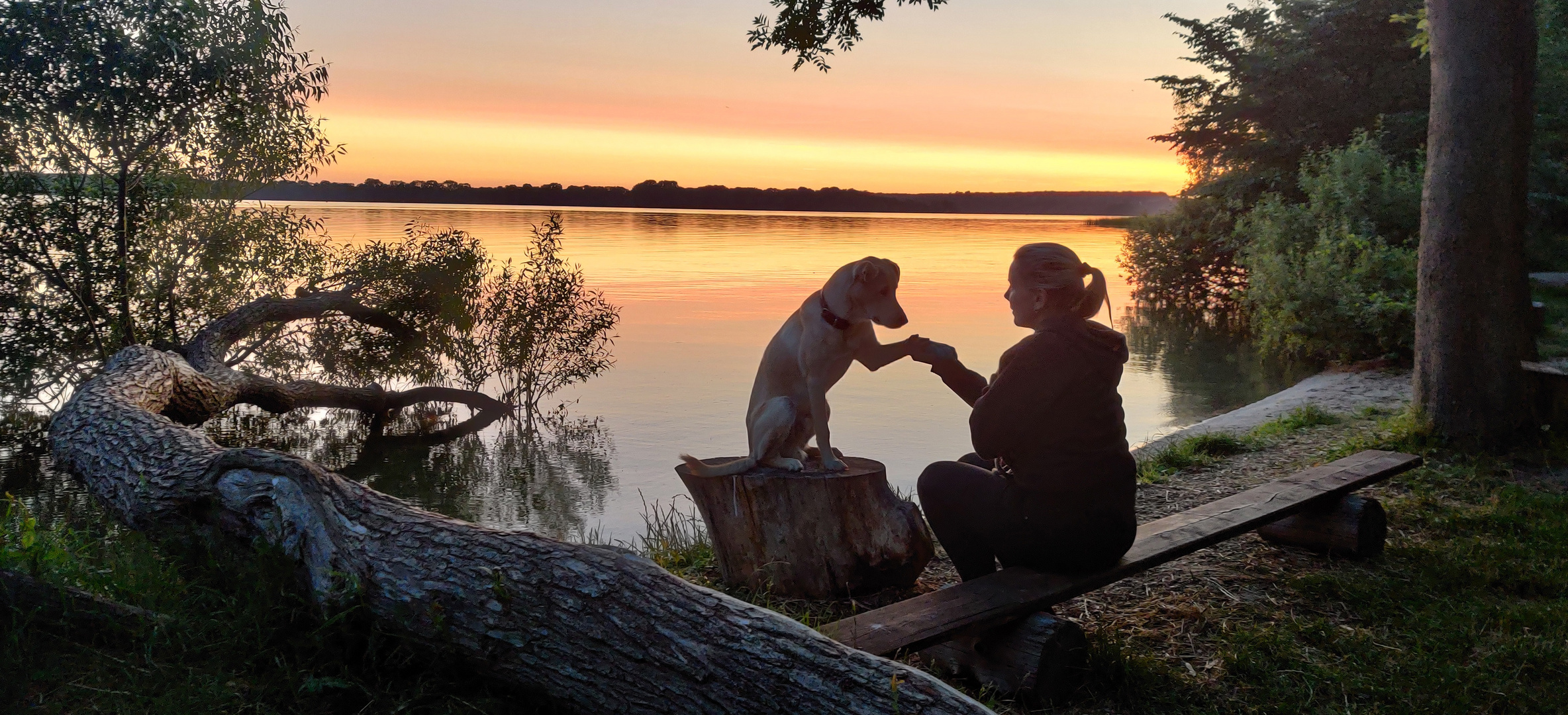 Frau mit Hund am Schweriner See