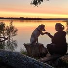 Frau mit Hund am Schweriner See