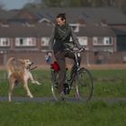 Frau mit Hund