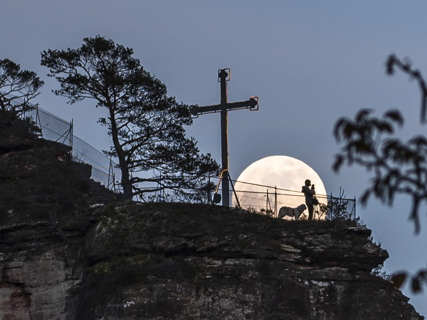 Frau mit Hund im Mond