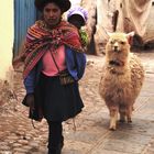 Frau mit Lama