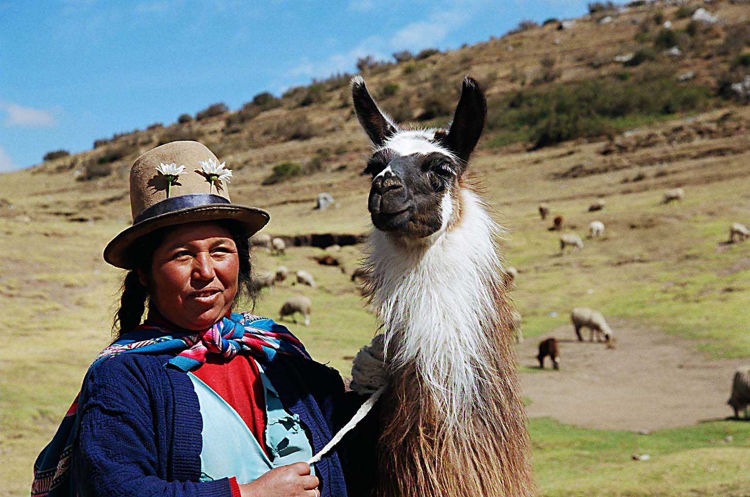 Frau mit Lama