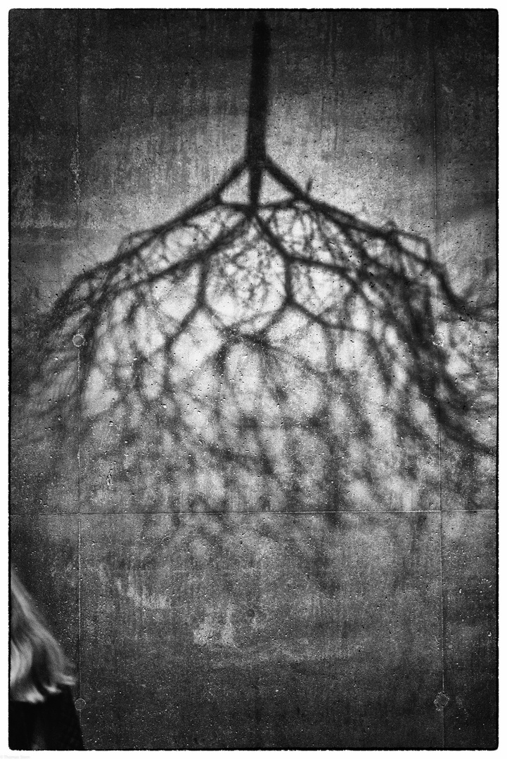 Frau mit langem Haar Foto & Bild | fotokunst, monochrome fine art