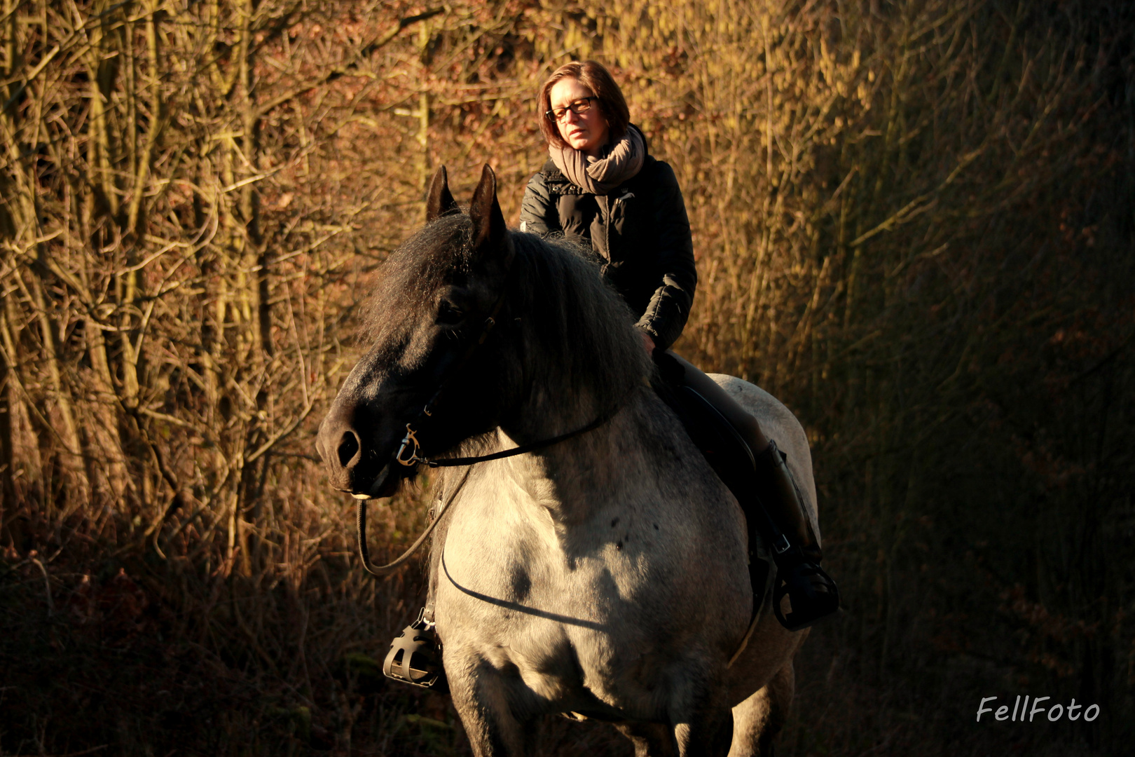 Frau mit Pferd