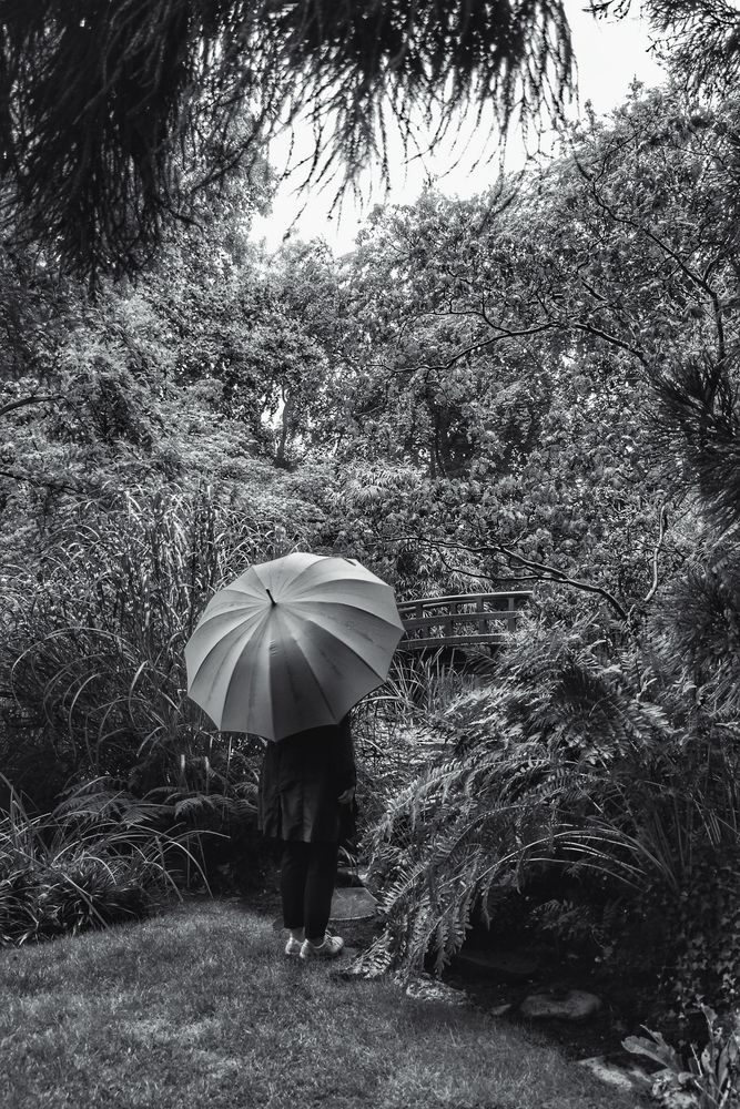 Frau mit Regenschirm sieht eine Brücke....... 