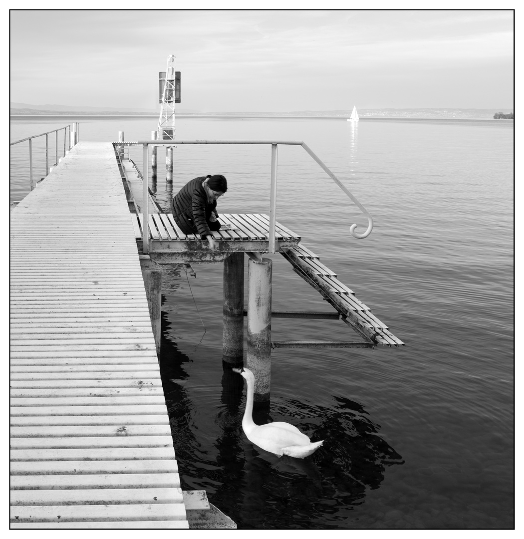 Frau mit Schwan in Schwarz-Weiß am Genfer-See