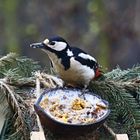 Frau Specht beim Frühstück