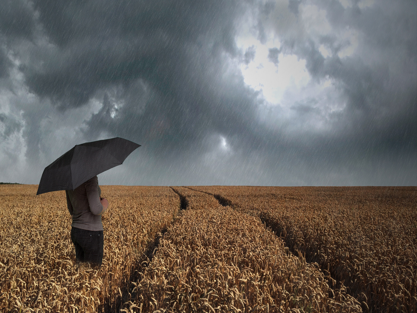 Frau steht mit Regenschirm in einem Weizenfeld