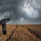 Frau steht mit Regenschirm in einem Weizenfeld