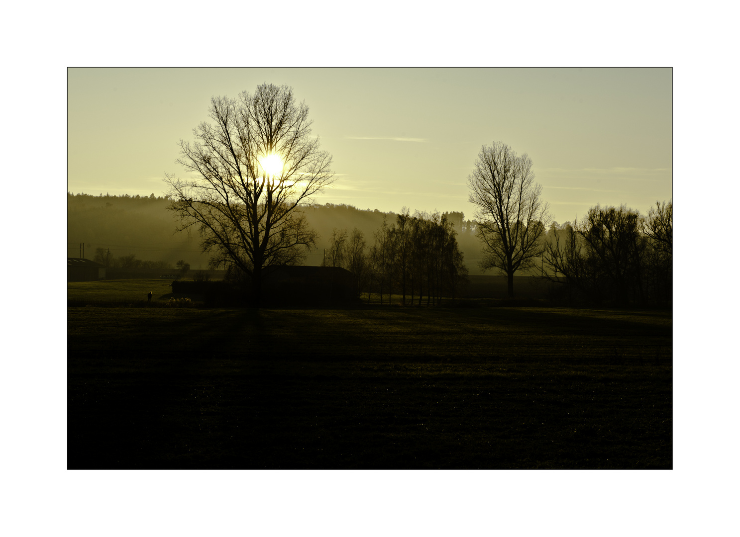 frau und baum