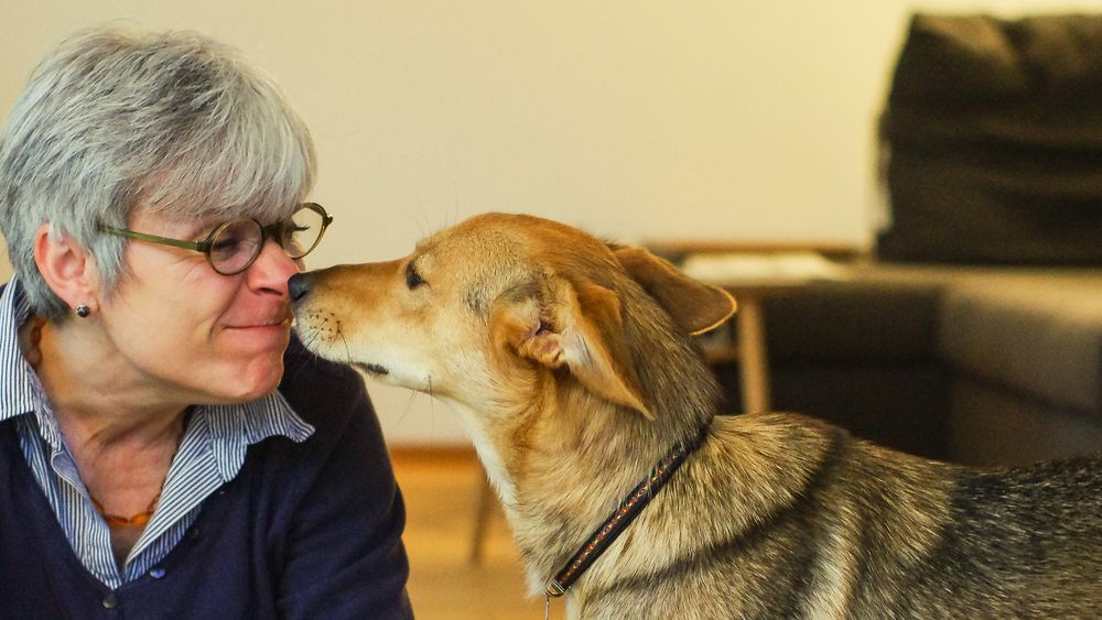 Frau und Hund 35 Foto &amp; Bild erwachsene, portrait, menschen in der