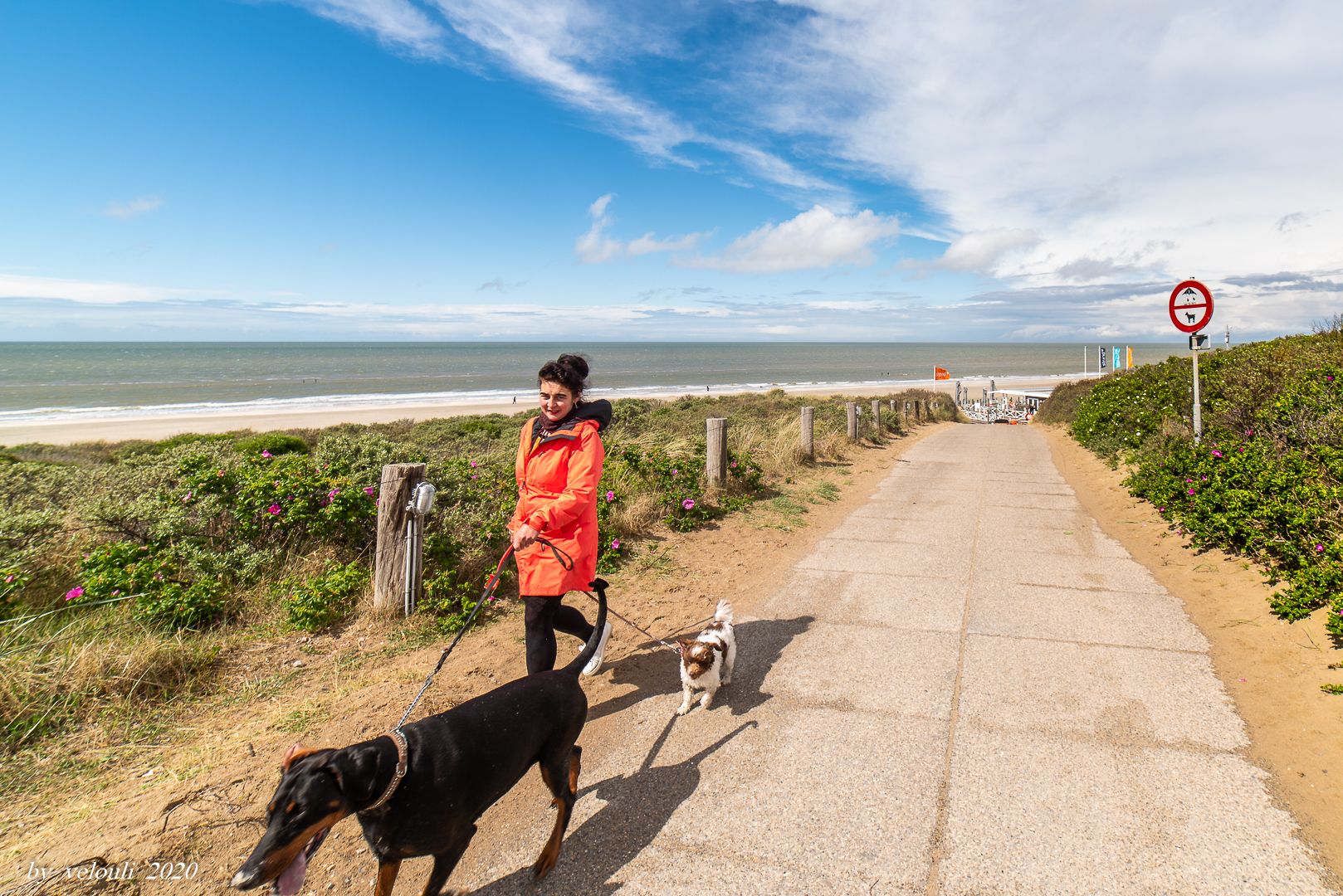 Frau und Hund 36