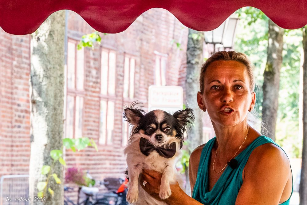 Frau und hund 40 Foto &amp; Bild erwachsene, alltagsereignisse, menschen