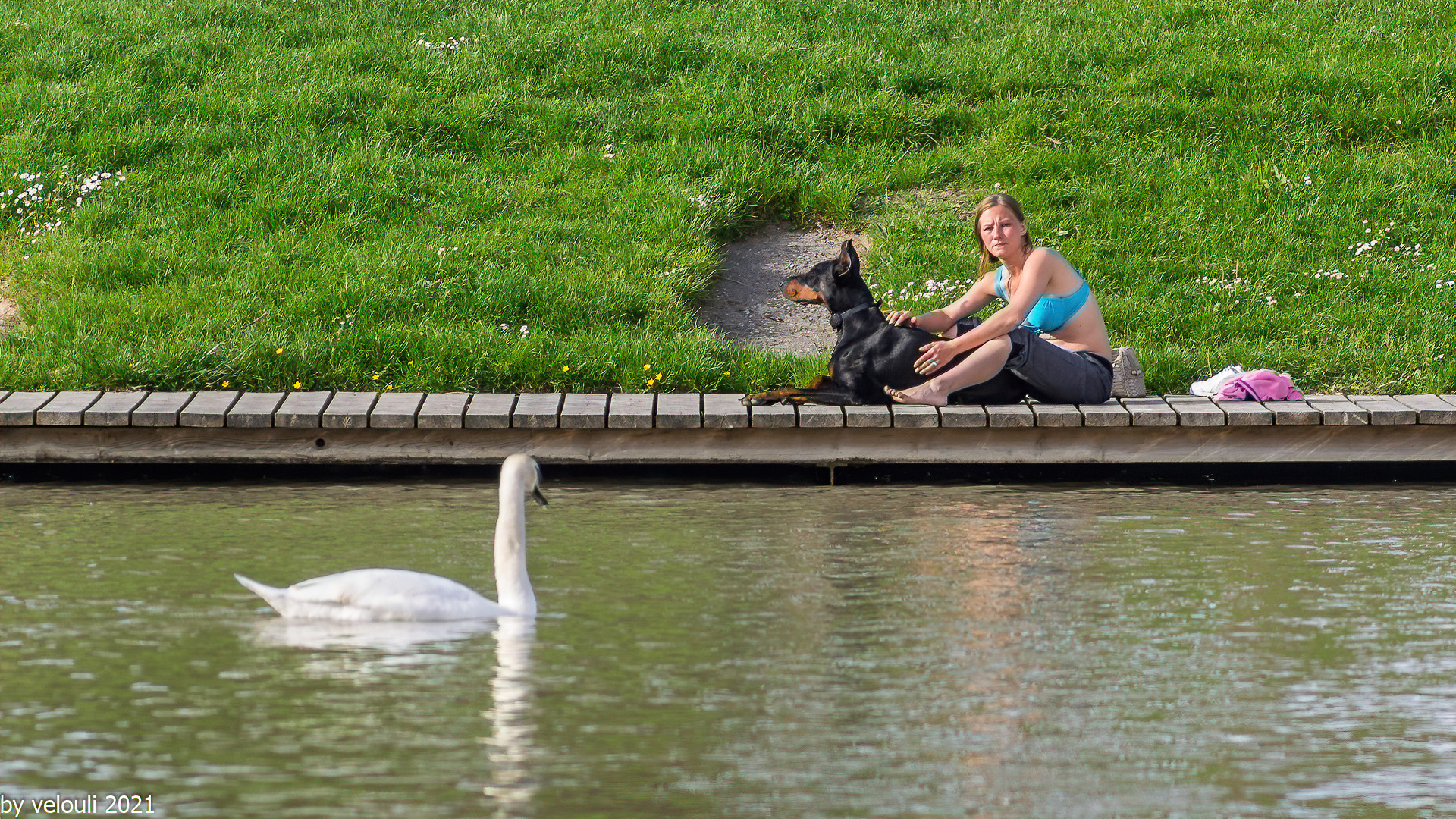 Frau und Hund 45