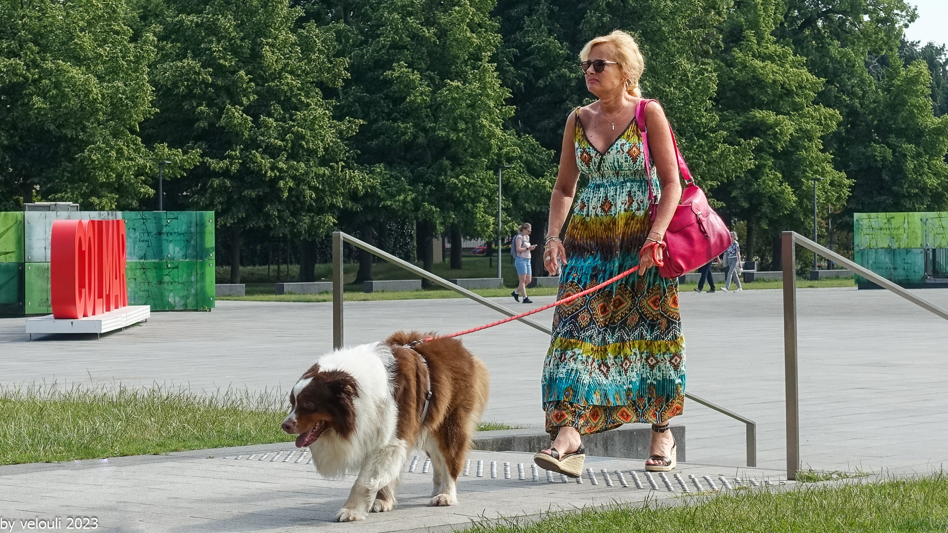 Frau und Hund 66