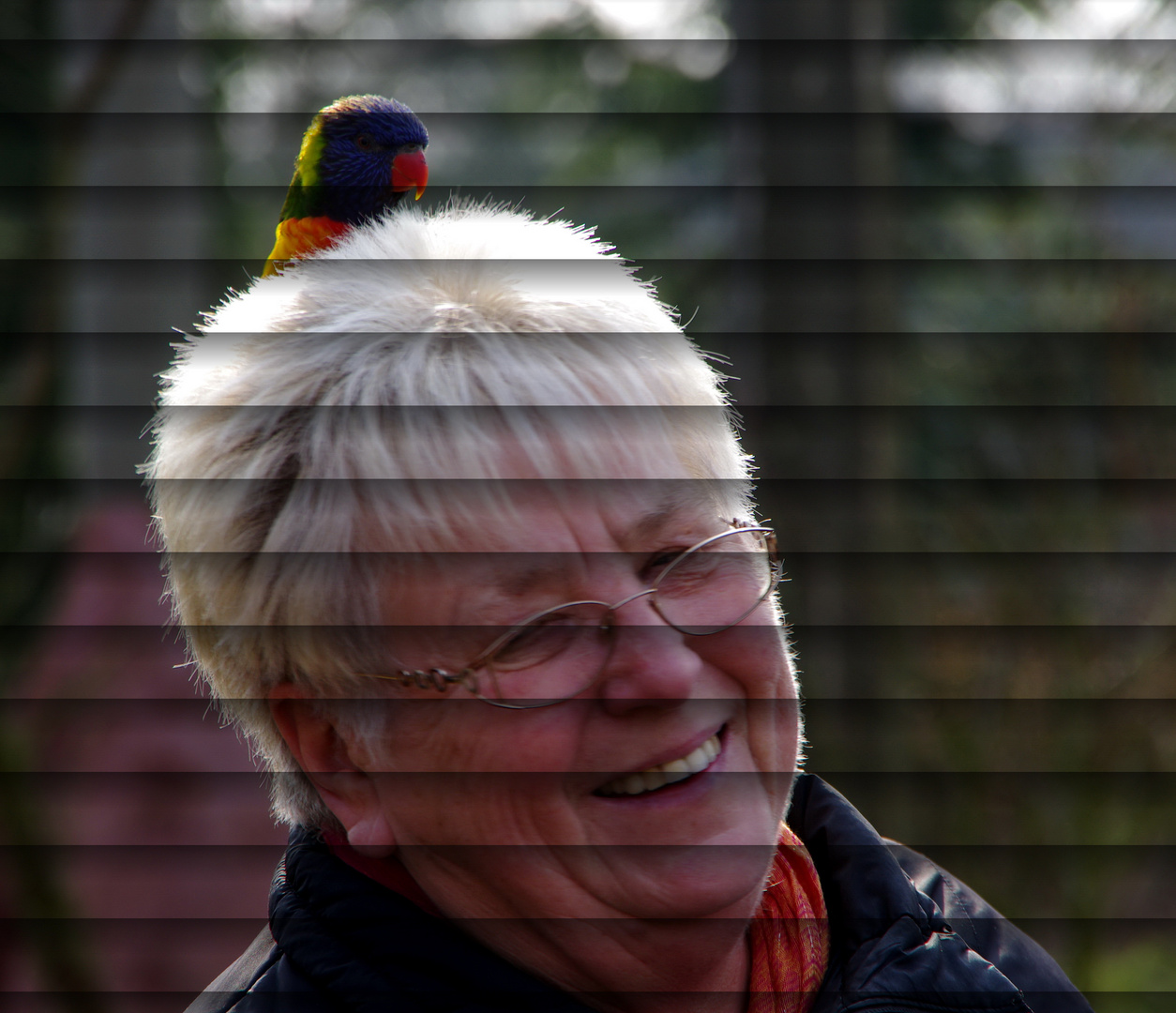 frau vogel