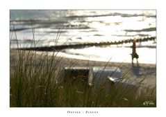 Frau vor See auf Strand hinter Gras!