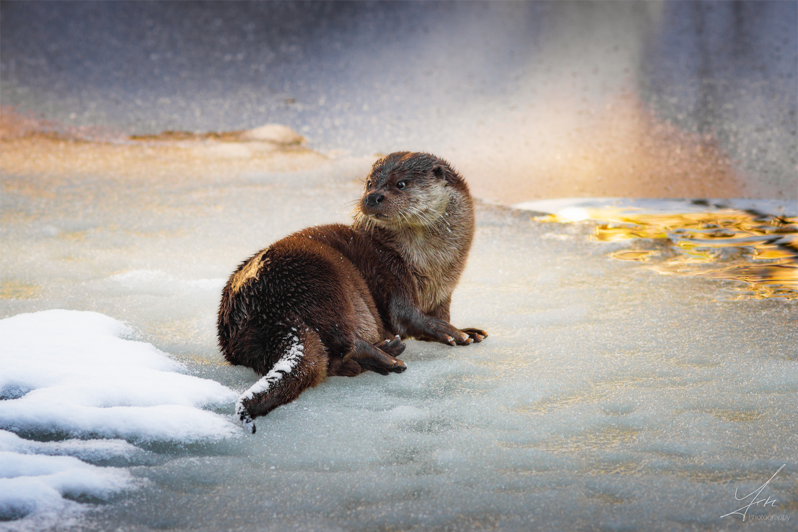 Frauchen am Eisstrand