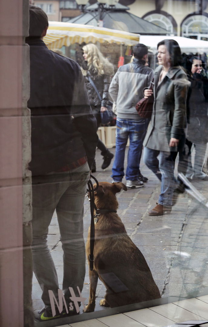 Frauchen ist shoppen......................................