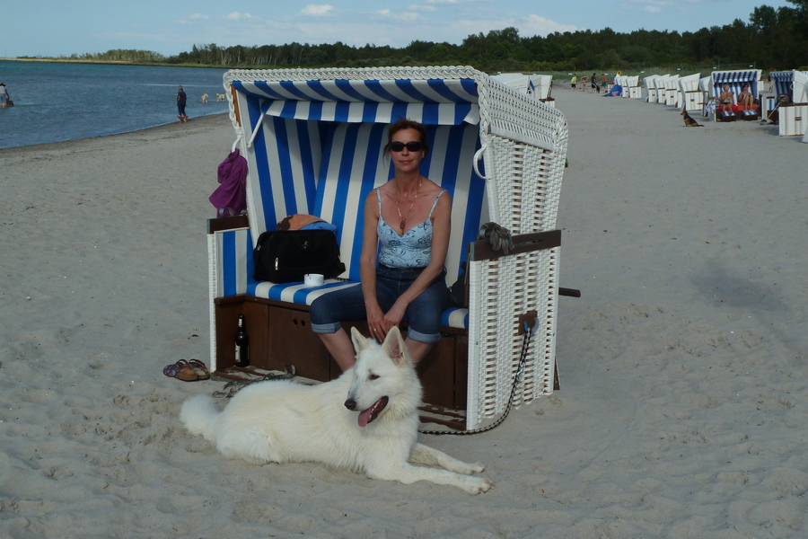 Frauchen liebt die Sonne und das Meer