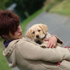 Frauchen mit Hund