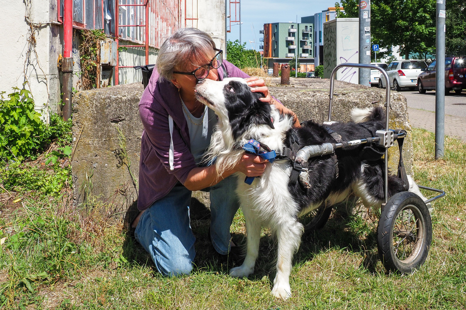 Frauchen mit Rolli-Hund Scotch