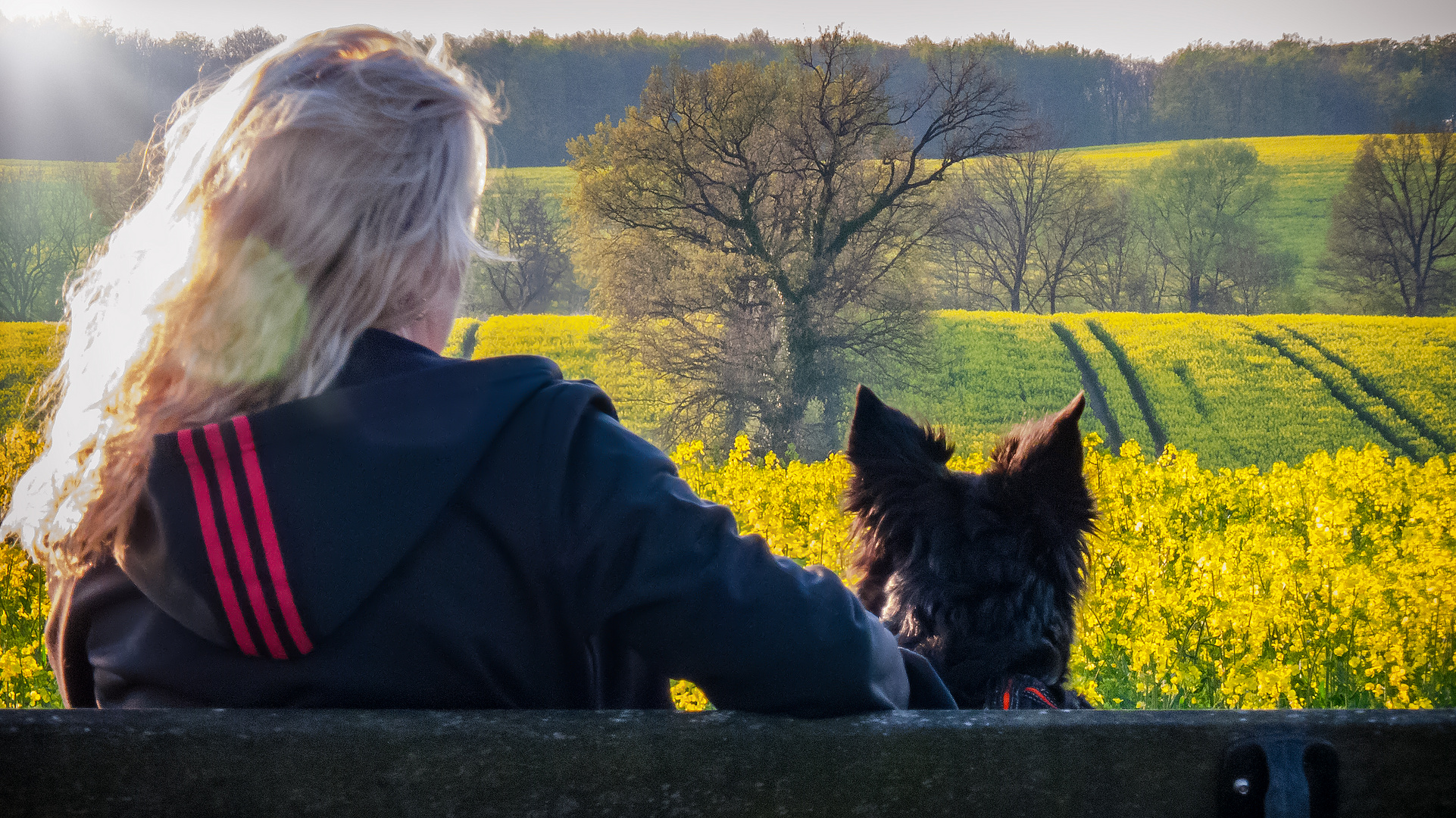 Frauchen und Border Collie auf Feldschau