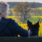 Frauchen und Border Collie auf Feldschau