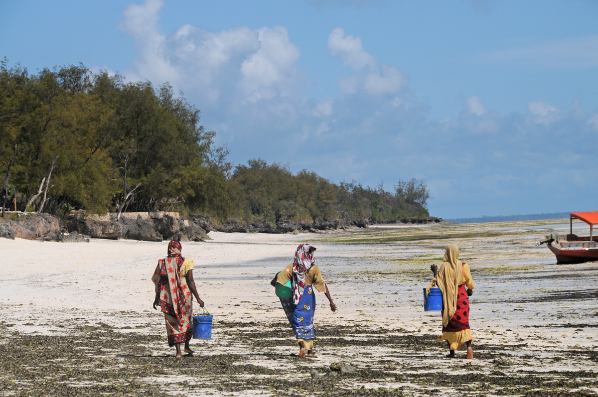 Frauen an Zanzibars Ostküste