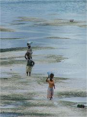 Frauen auf Zanzibar