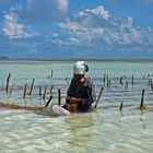 Frauen auf Zanzibar