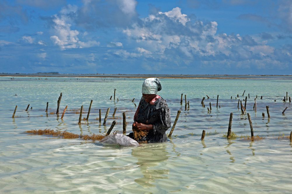 Frauen auf Zanzibar