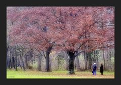 Frauen bei Baum - color