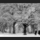 Frauen bei Baum - mono