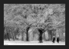 Frauen bei Baum - mono