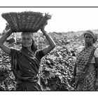 Frauen bei der Arbeit