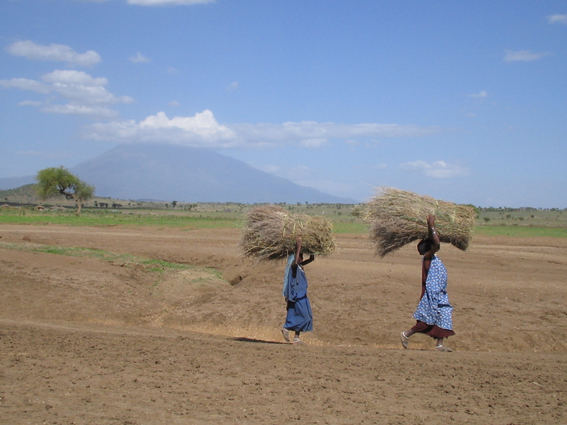 frauen beim arbeiten bei arusha