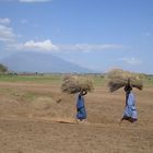 frauen beim arbeiten bei arusha