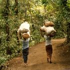 Frauen in Bali