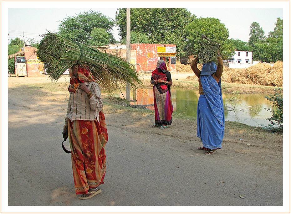 Frauen in Bharatpur