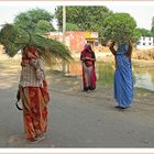 Frauen in Bharatpur