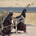 Frauen in Egypt holen futter