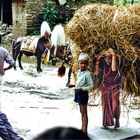 Frauen in Nepal in den Bergen.