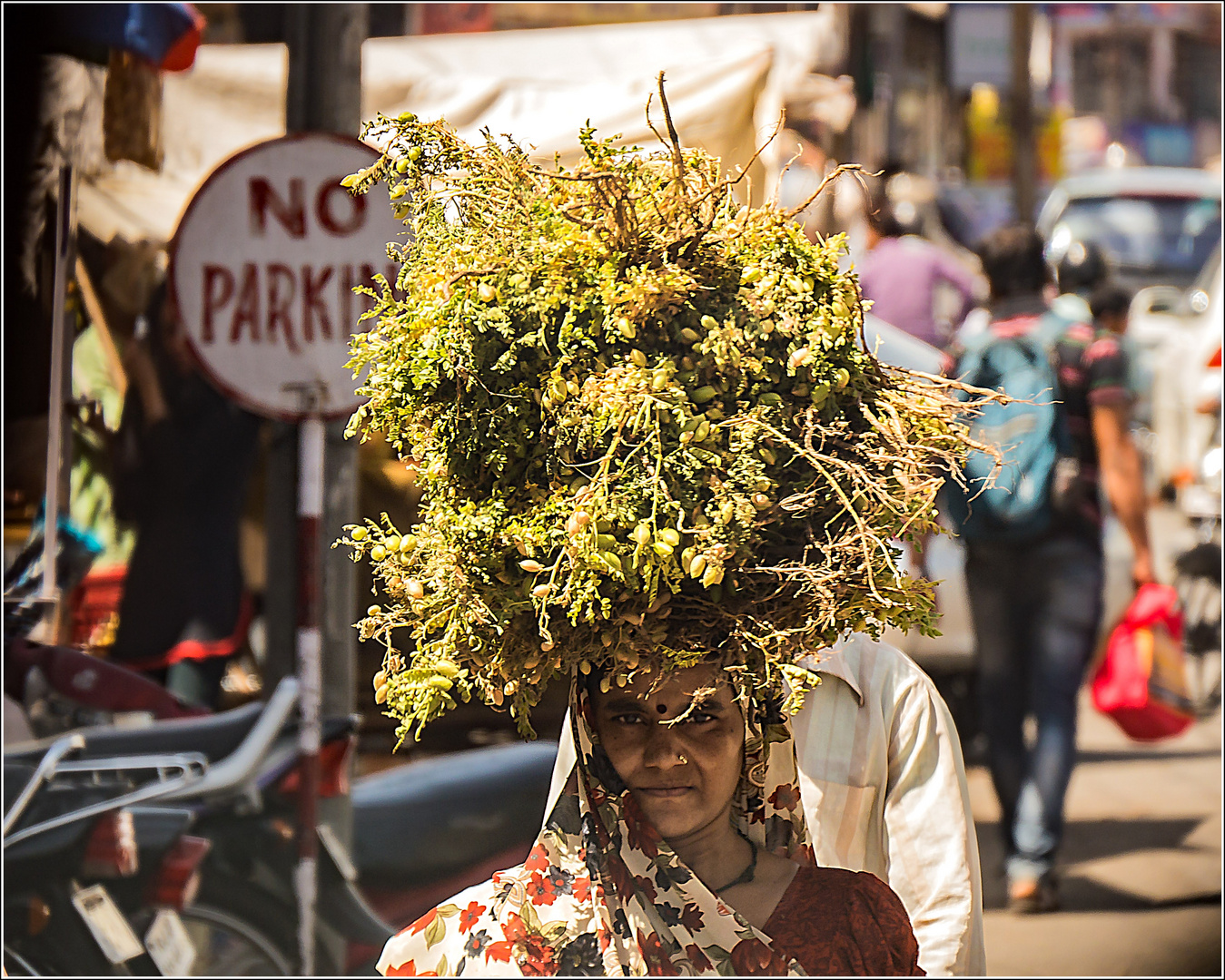 Frauen Indiens