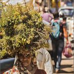 Frauen Indiens 2