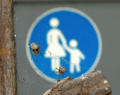 Frauen und Kinder -- versteckt euch